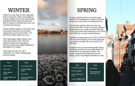 Copenhagen eBook